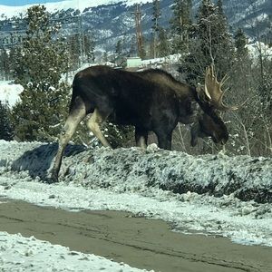 Meet your Posher, Brennan